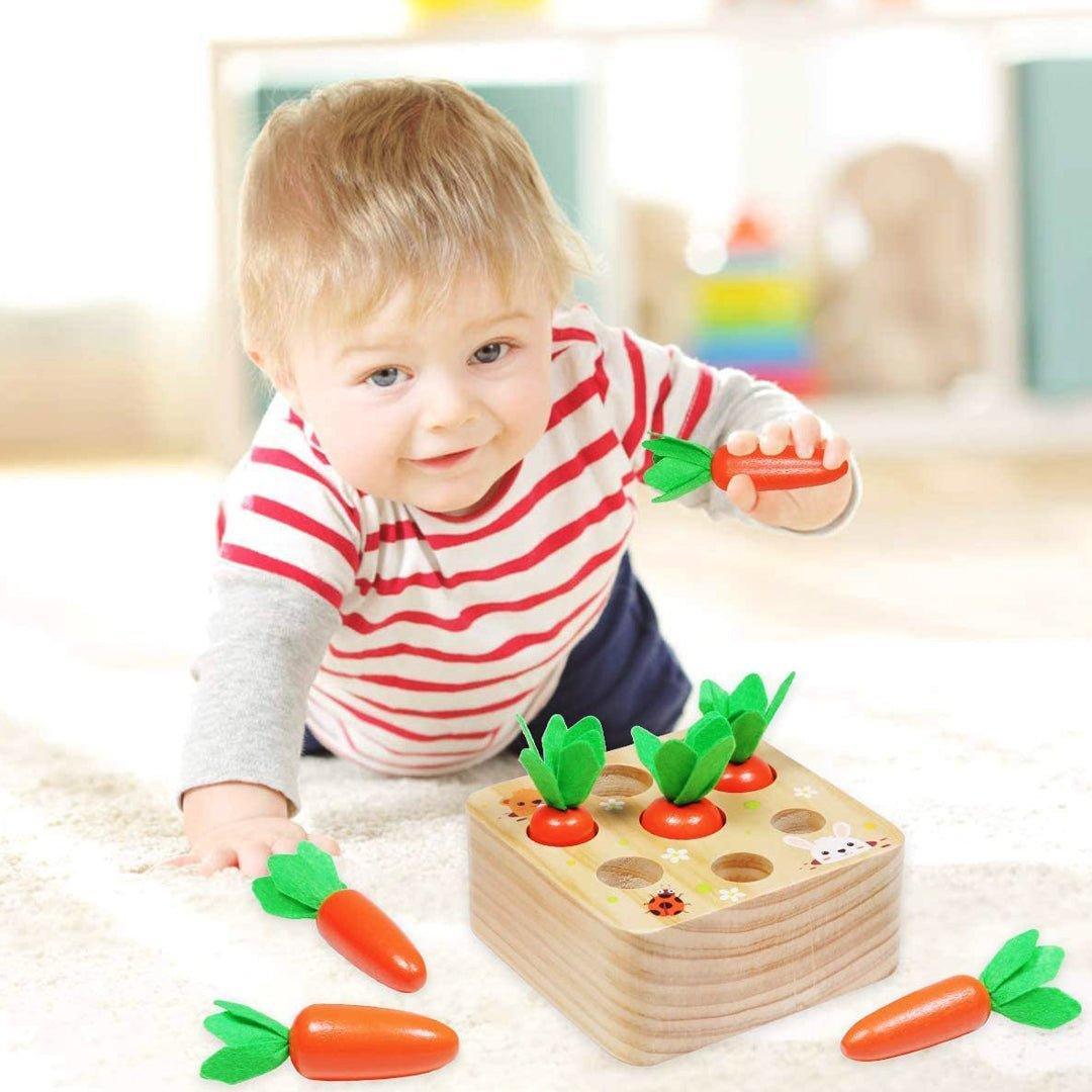 Montessori Carrots Harvest Box - MontessoriFun