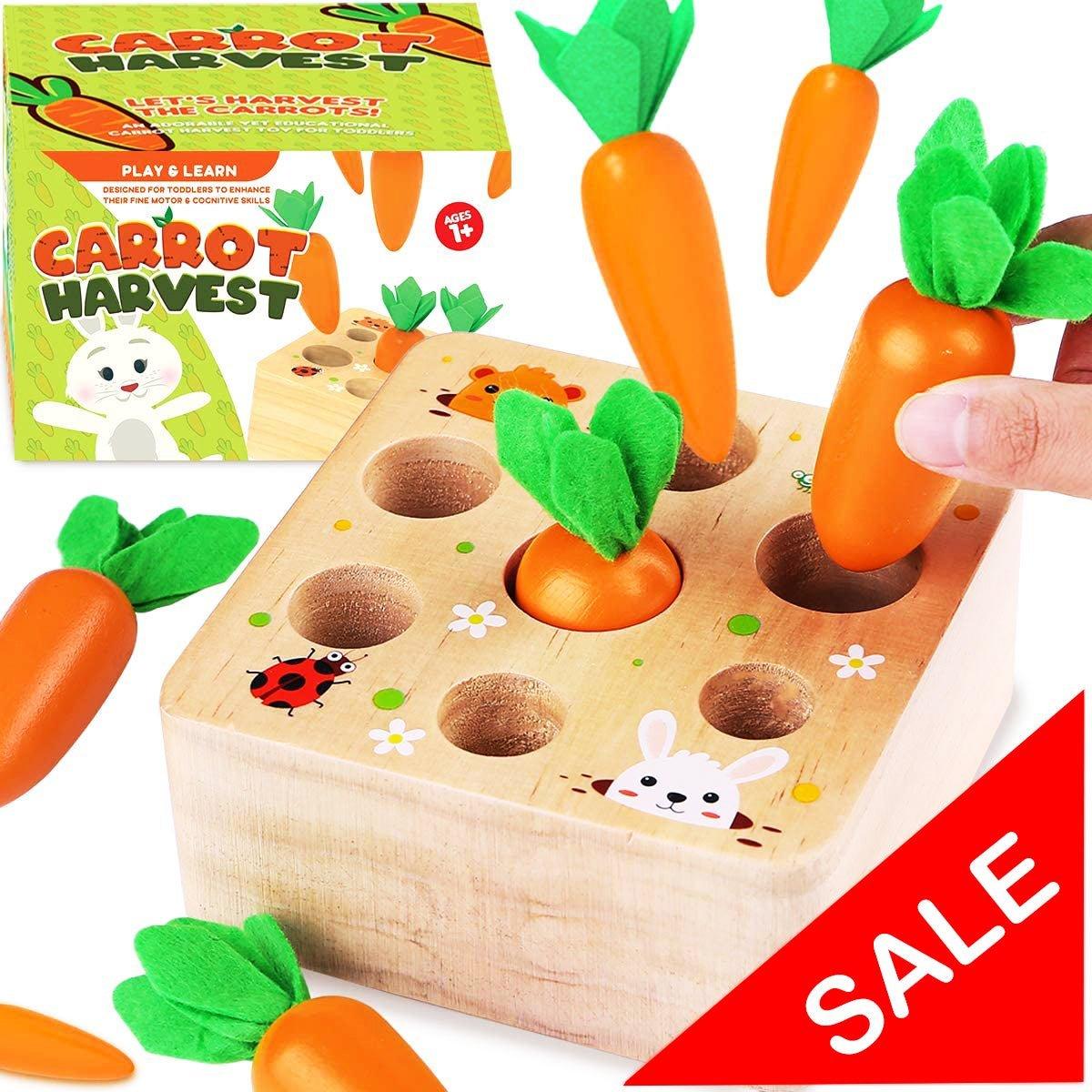 Montessori Carrots Harvest Box - MontessoriFun