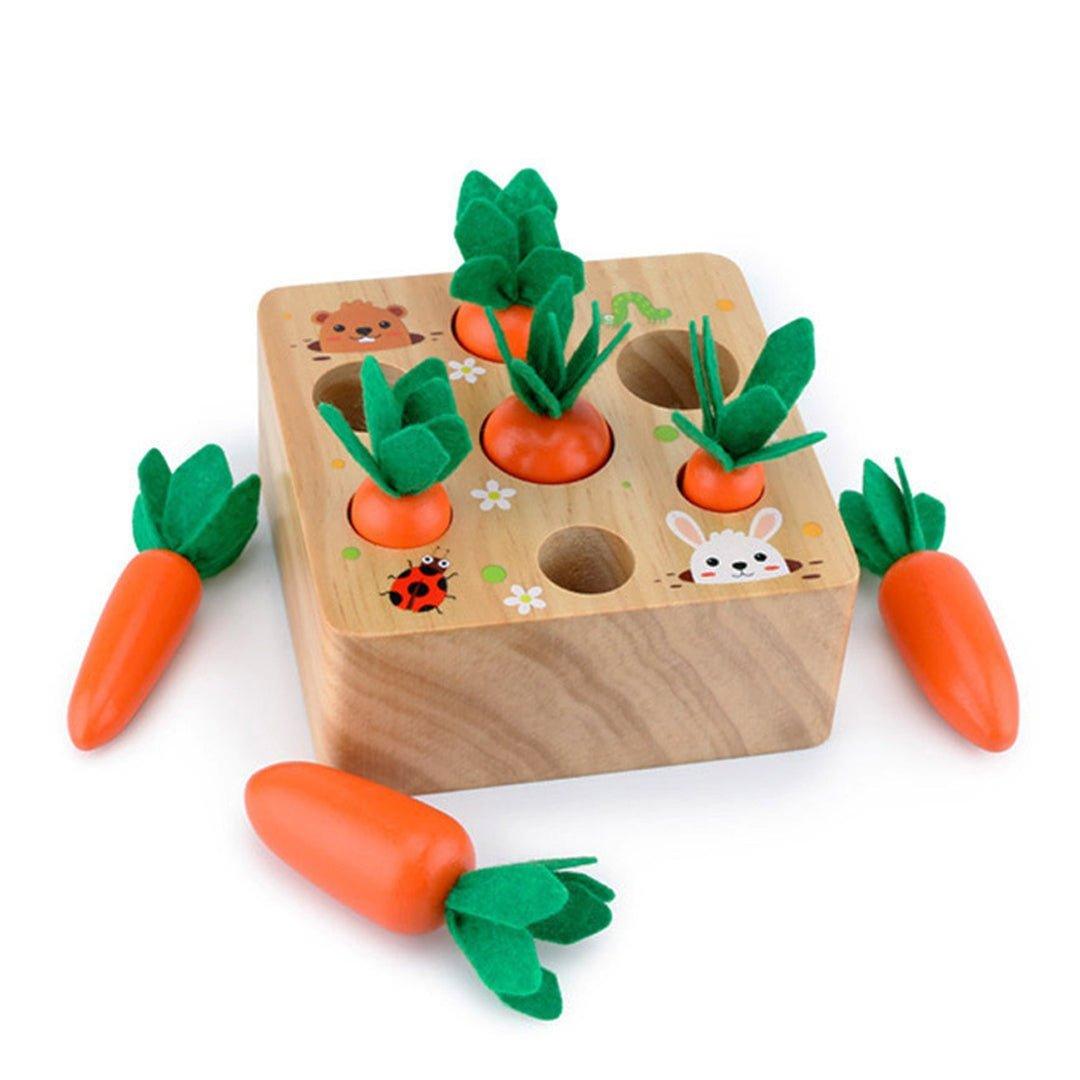 Montessori Carrots Harvest Box - MontessoriFun