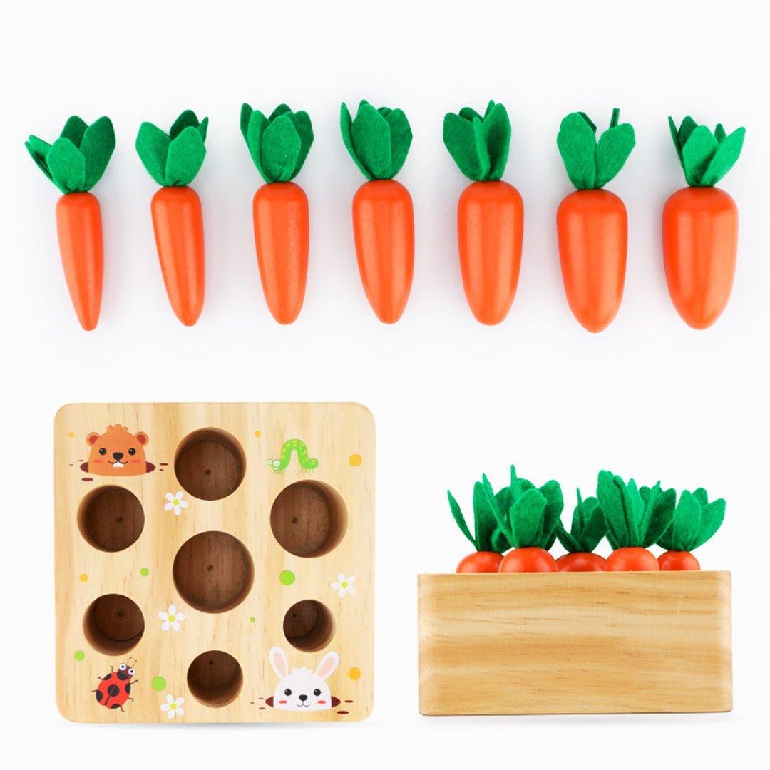 Montessori Carrots Harvest Box - MontessoriFun