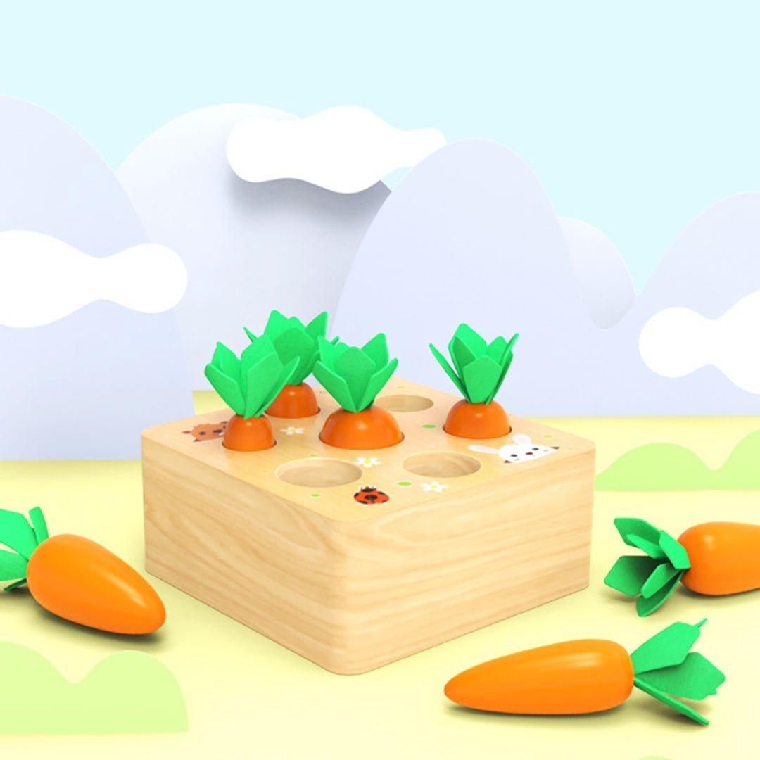 Montessori Carrots Harvest Box - MontessoriFun