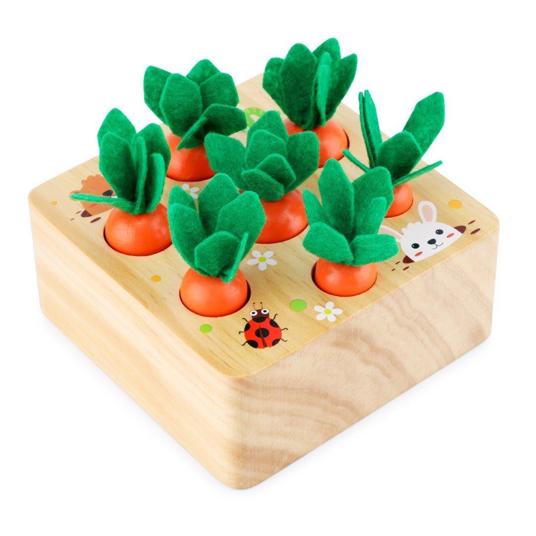 Montessori Carrots Harvest Box - MontessoriFun