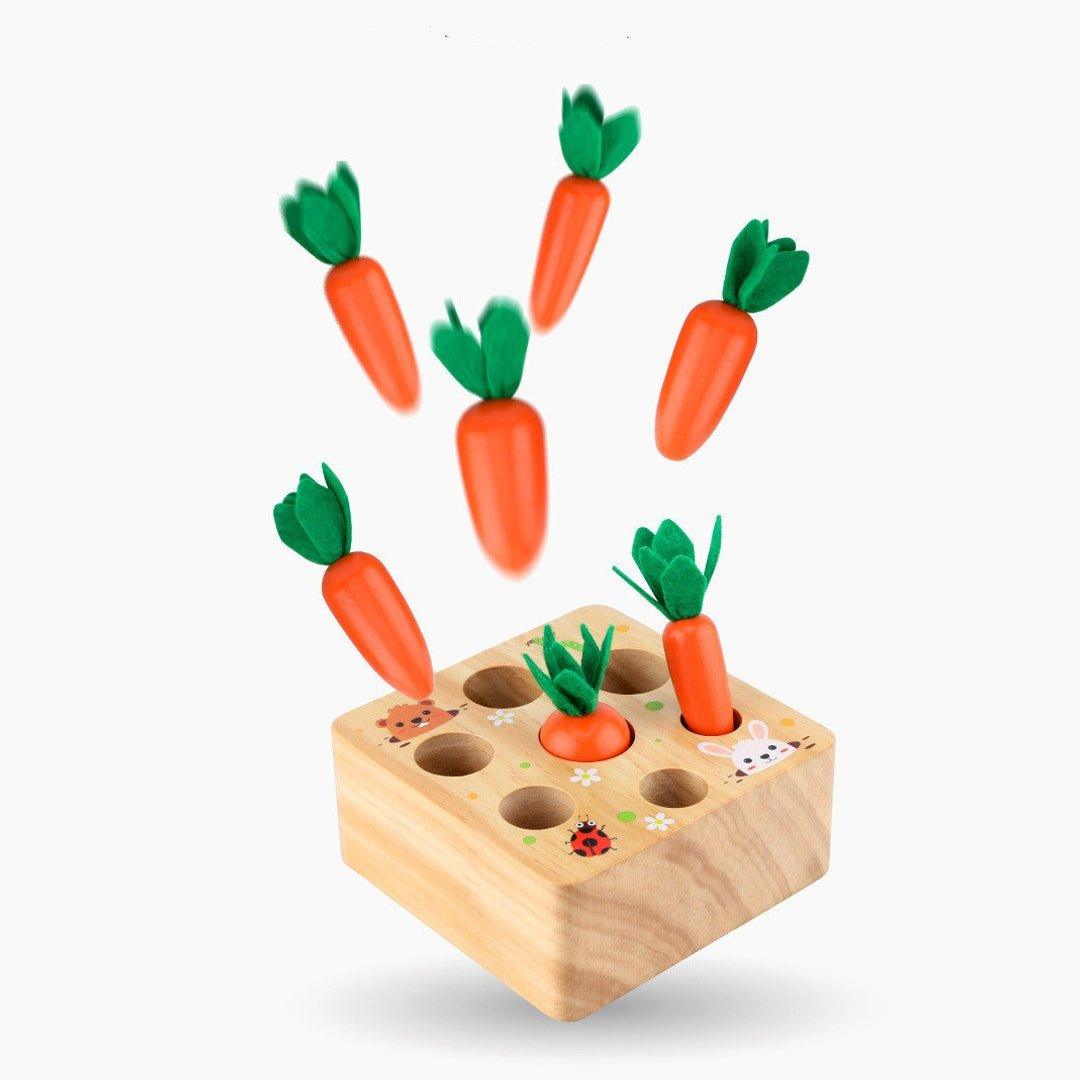 Montessori Carrots Harvest Box - MontessoriFun