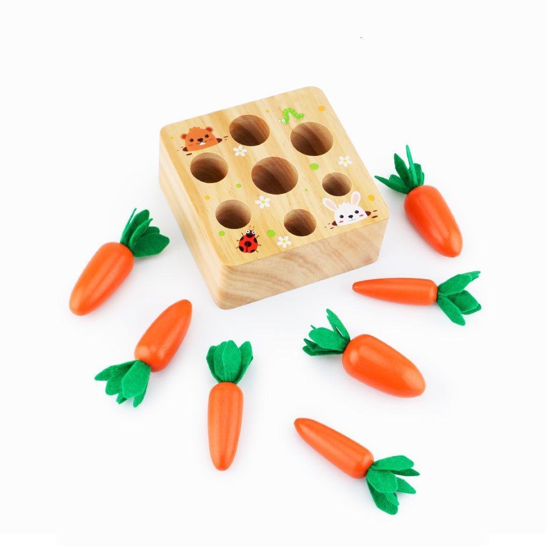 Montessori Carrots Harvest Box - MontessoriFun