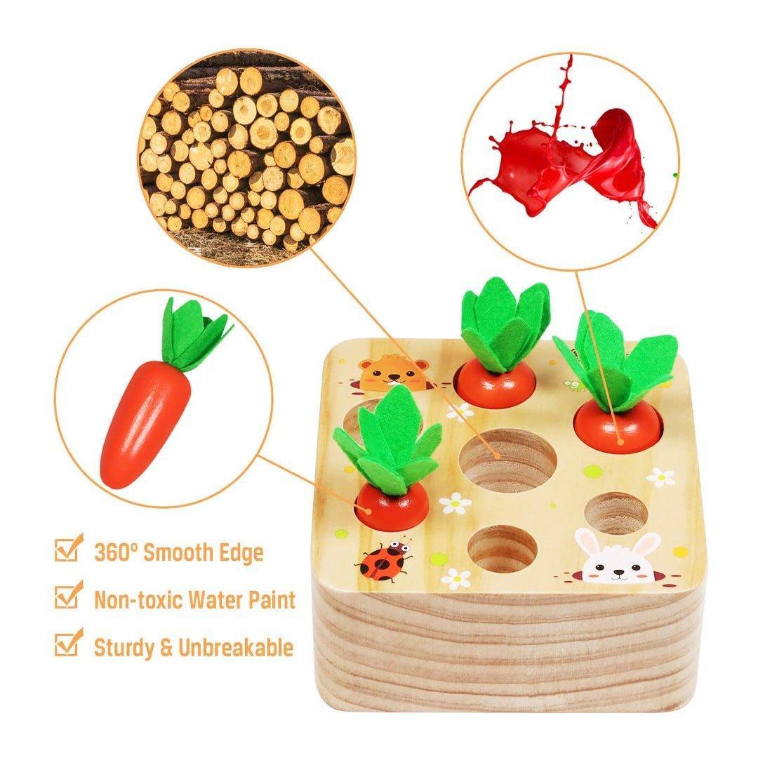 Montessori Carrots Harvest Box - MontessoriFun